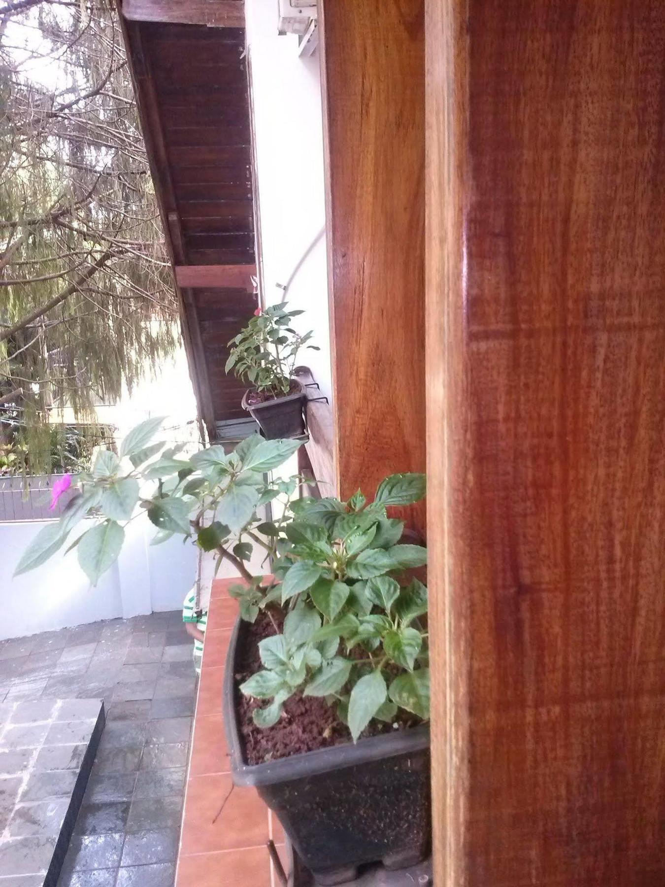 Petit Hotel Caraguata Puerto Iguazú Kültér fotó